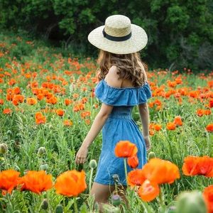 Chambray off the shoulder dress